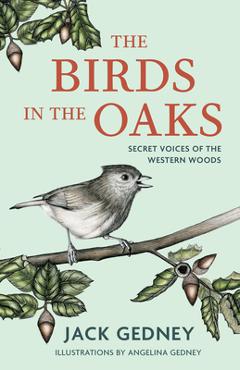 The Birds in the Oaks: Secret Voices of the Western Woods - Jack Gedney
