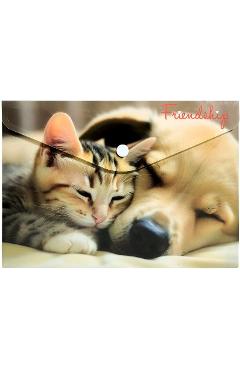 Aceasta este imaginea corespunzatoare acestui obiect