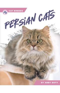 Persian Cats - Abby Doty - Imagine 1