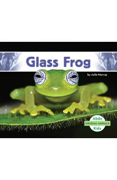 Glass Frog - Julie Murray