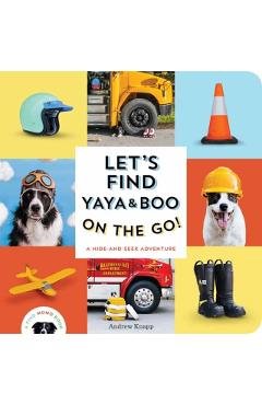 Let's Find Yaya and Boo on the Go!: A Hide-And-Seek Adventure - Andrew Knapp