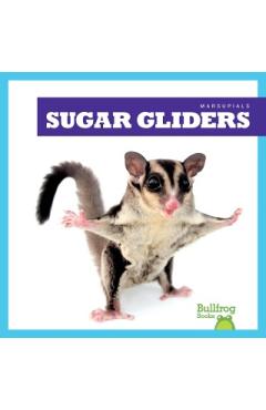 Sugar Gliders - Natalie Deniston