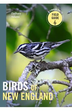 Birds of New England: A Timber Press Field Guide - Zach Adams