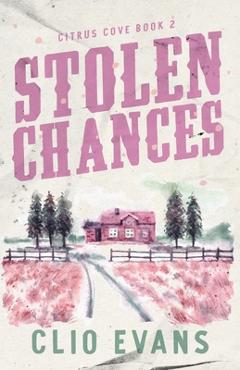 Stolen Chances: A Single Mom, MMF, Small Town Romance Suspense - Clio Evans