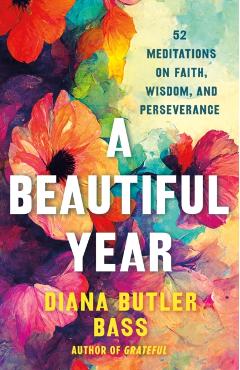 A Beautiful Year - Diana Butler Bass