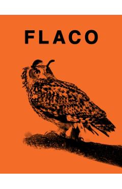Flaco: The Owl Who Escaped Captivity and Won the Hearts of the World - Jonathan Hollingsworth