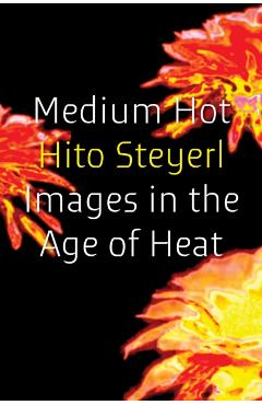Medium Hot: Images in the Age of Heat - Hito Steyerl