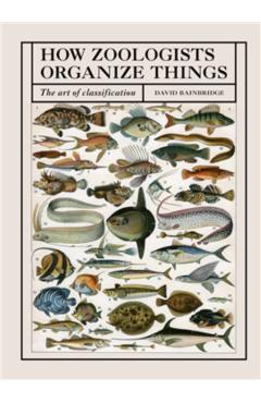 How Zoologists Organize Things - David Bainbridge