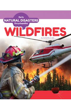 Wildfires - Samantha S. Bell