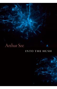 Into the Hush - Arthur Sze