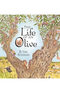 The Life of an Olive - D. Yael Bernhard