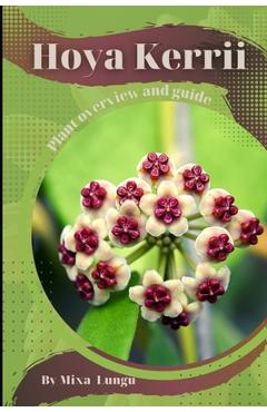 Hoya Kerrii: Plant overview and guide - Mixa Lungu
