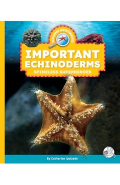 Important Echinoderms: Spineless Superheroes - Catherine Ipcizade