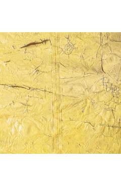 David Hammons -