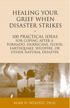 Healing Your Grief When Disaster Strikes: 100 Practical Ideas for Coping After a Tornado, Hurricane, Flood, Earthquake, Wildfire, or Other Natural Dis - Alan D. Wolfelt