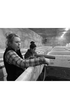 Crush: My Year as an Apprentice Winemaker - Nicholas O'connell