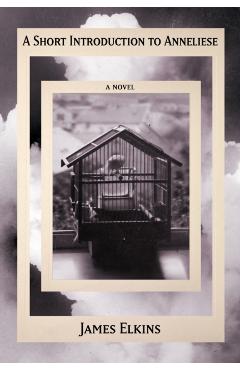 A Short Introduction to Anneliese - James Elkins