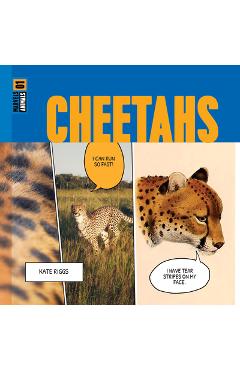 Cheetahs - Kate Riggs