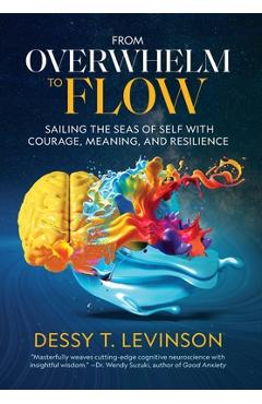 From Overwhelm to Flow: Sailing the Seas of Self with Courage, Meaning, and Resilience - Dessy T. Levinson