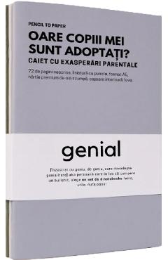 Set de 3 caiete geniale: Instrumente de destresare pentru capul familiei