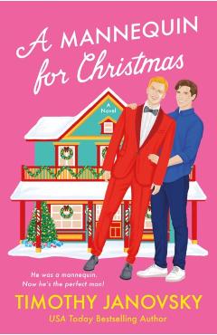 A Mannequin for Christmas - Timothy Janovsky - Imagine 1