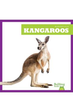 Kangaroos - Natalie Deniston