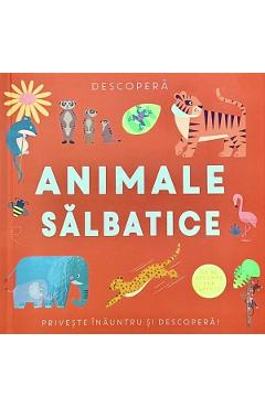 Descopera. Animale salbatice - FLAMINGO