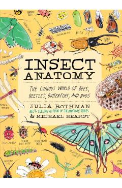 Insect Anatomy: The Curious World of Bees, Beetles, Butterflies, and Bugs - Julia Rothman