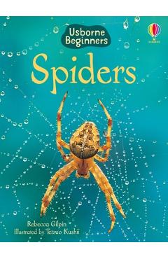 Spiders - Rebecca Gilpin