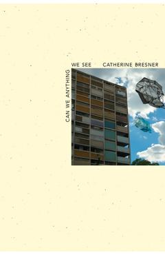 Can We Anything We See - Catherine Bresner