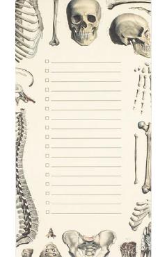 Carnet. Skeleton