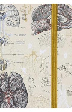 Caiet A5. Brain