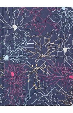 Caiet: Neural Circuit