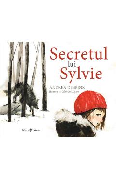 Secretul lui Sylvie - Andrea Debbink