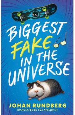 Biggest Fake in the Universe - Johan Rundberg