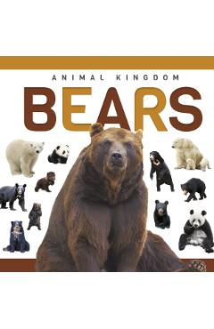 Bears - Alex Hall - Imagine 1