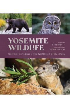 Yosemite Wildlife: The Wonder of Animal Life in California's Sierra Nevada - Beth Pratt