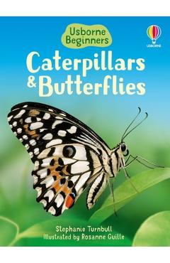 Caterpillars and Butterflies - Stephanie Turnbull