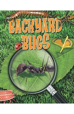 Backyard Bugs - Louise A. Spilsbury