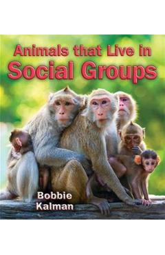 Animals That Live in Social Groups - Bobbie Kalman