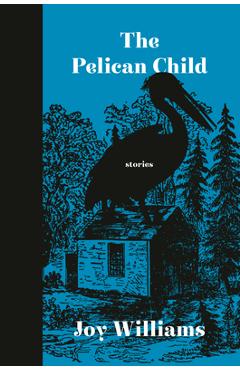 The Pelican Child: Stories - Joy Williams