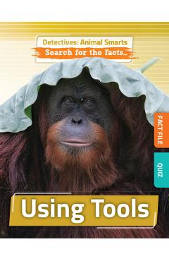 Using Tools - Anne O\'daly