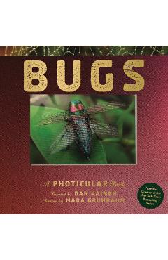 Bugs: A Photicular Book - Dan Kainen