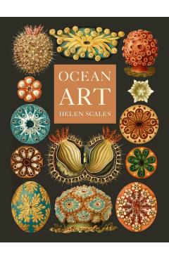 Ocean Art - Helen Scales