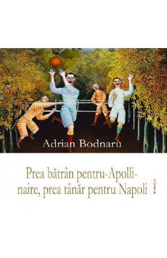 Prea batran pentru-Apollinaire, prea tanar pentru Napoli - Adrian Bodnaru - VINEA