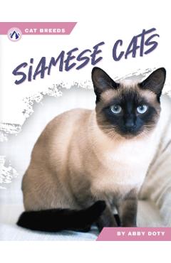 Siamese Cats - Abby Doty - Imagine 1