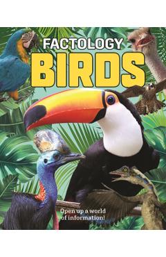 Factology: Birds -