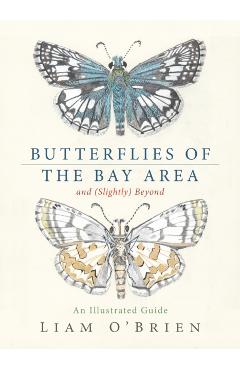 Butterflies of the Bay Area and (Slightly) Beyond: An Illustrated Guide - Liam O'brien