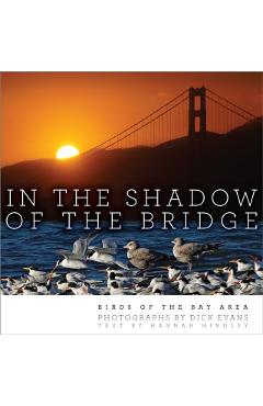 In the Shadow of the Bridge: Birds of the Bay Area - Dick Evans