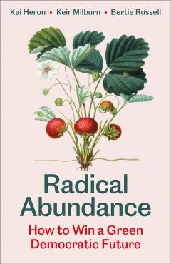 Radical Abundance: How to Win a Green Democratic Future - Kai Heron